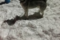 Крестьянское фермерское хозяйство В моих лугах, с рейтингом 5 - находится по адресу Самарская область, пос. Рига, Промышленная улица, 8а 