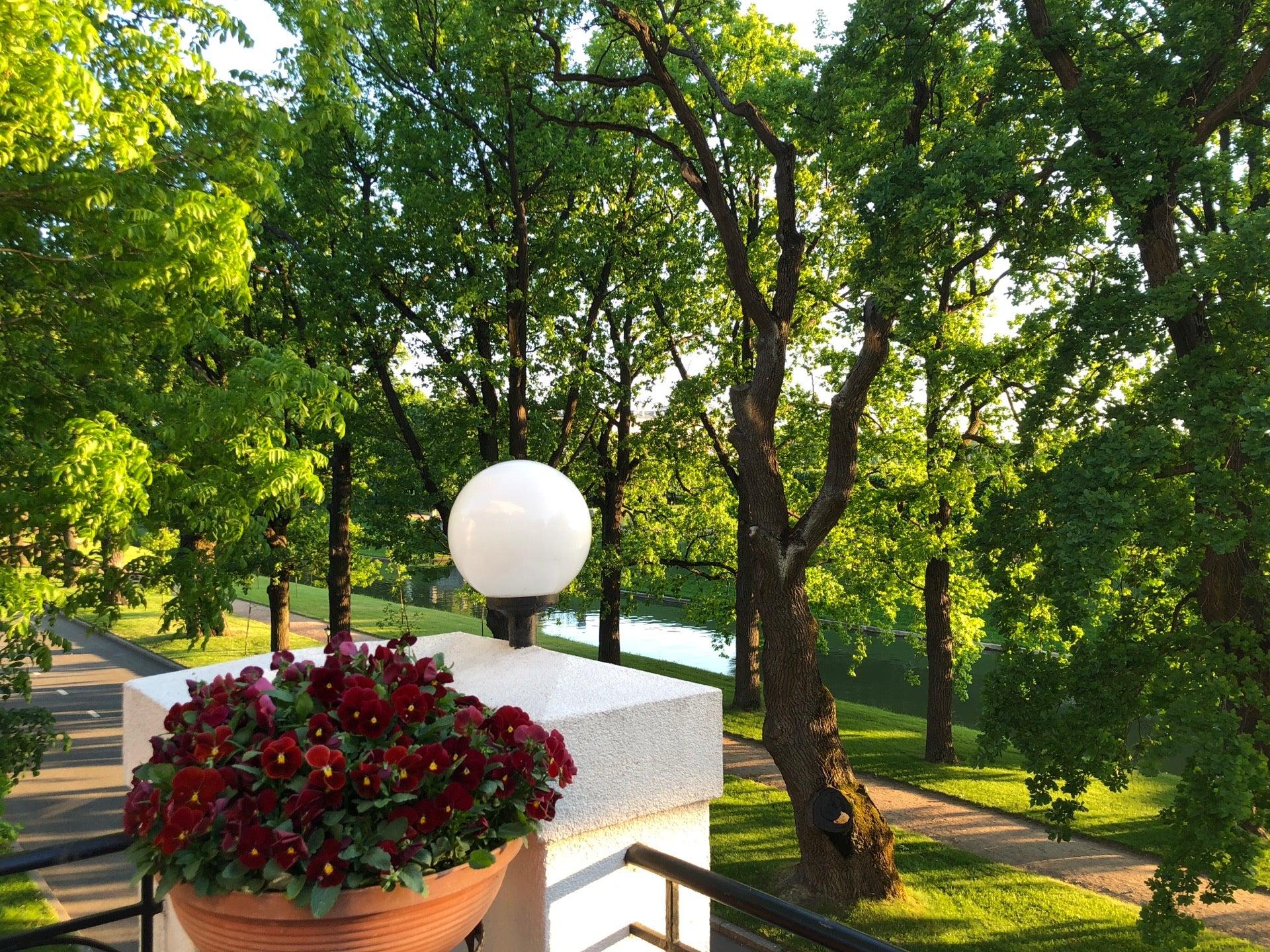 Северная Венеция, ресторан в отеле Балтийская Звезда в Стрельне, Санкт ...