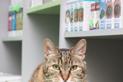 Ветеринарная клиника Айболит, с рейтингом 2.4 - находится по адресу Старый Оскол, Юбилейная улица, 11г 