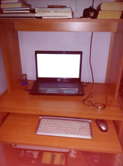 Педагог для подготовки к школе, педагог начальной школы Ольга Викторовна Зарицкая