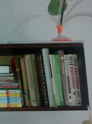 Психолог, преподаватель биологии Анастасия Геннадиевна Тарцан