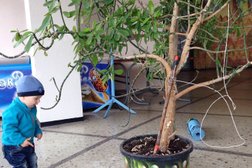 Казанский государственный цирк, с рейтингом 4.7 - находится по адресу Республика Татарстан, Казань, площадь Тысячелетия, 2 