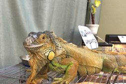 Историко-краеведческий музей, с рейтингом 3.8 - находится по адресу Московская область, Балашиха, проспект Ленина, 53 