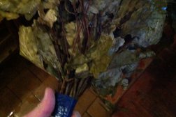 Банно-оздоровительный комплекс Нега, с рейтингом 3.9 - находится по адресу Санкт-Петербург, Приморский проспект, 30 