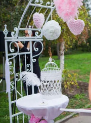 Ведущий/тамада Барко Анна