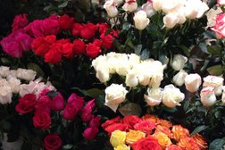 Цветочный салон Надежда, с рейтингом 4 - находится по адресу Курган, улица Ленина, 26 