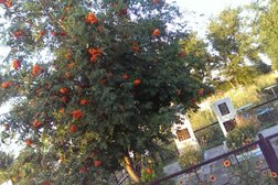 Михайловское кладбище, с рейтингом 5 - находится по адресу Ставропольский край, Михайловск, Транспортный переулок, 17/3 