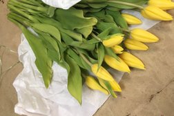 Цветочный салон Флорист.ру, с рейтингом 3.7 - находится по адресу Республика Татарстан, Казань, Марселя Салимжанова, 15 