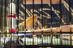 Кафе-бар Уголь, с рейтингом 5 - находится по адресу Владимирская область, Ковров, улица Абельмана, 19 