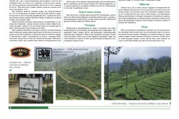 Фирменный магазин Море чая, с рейтингом 3.6 - находится по адресу Санкт-Петербург, набережная реки Фонтанки, 91 