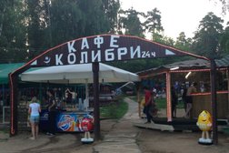 Колибри