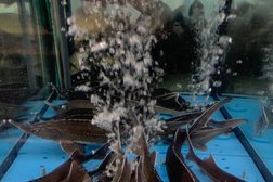 Гипер Лента