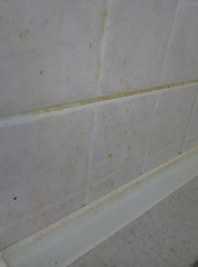 Выгульщик собак, домработница Марина Геннадьевна Баранецкая