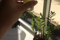 Ресторан Via Veneto, с рейтингом 3 - находится по адресу Нур-Султан, Шәмші Қалдаяқов, 2 