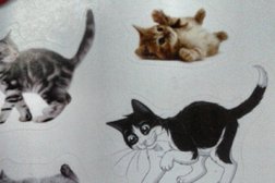 Компания по оптовой продаже печатной продукции ЮгМедиаПресс, с рейтингом 4.5 - находится по адресу Краснодар, Товарная улица, 7 