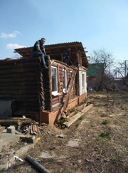 Хостес, благоустройство территории Алевтина Владимировна Кабардина