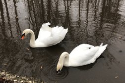 Парк культуры и отдыха, с рейтингом 5 - находится по адресу Белгородская область, Алексеевка, улица Фрунзе, 66а 