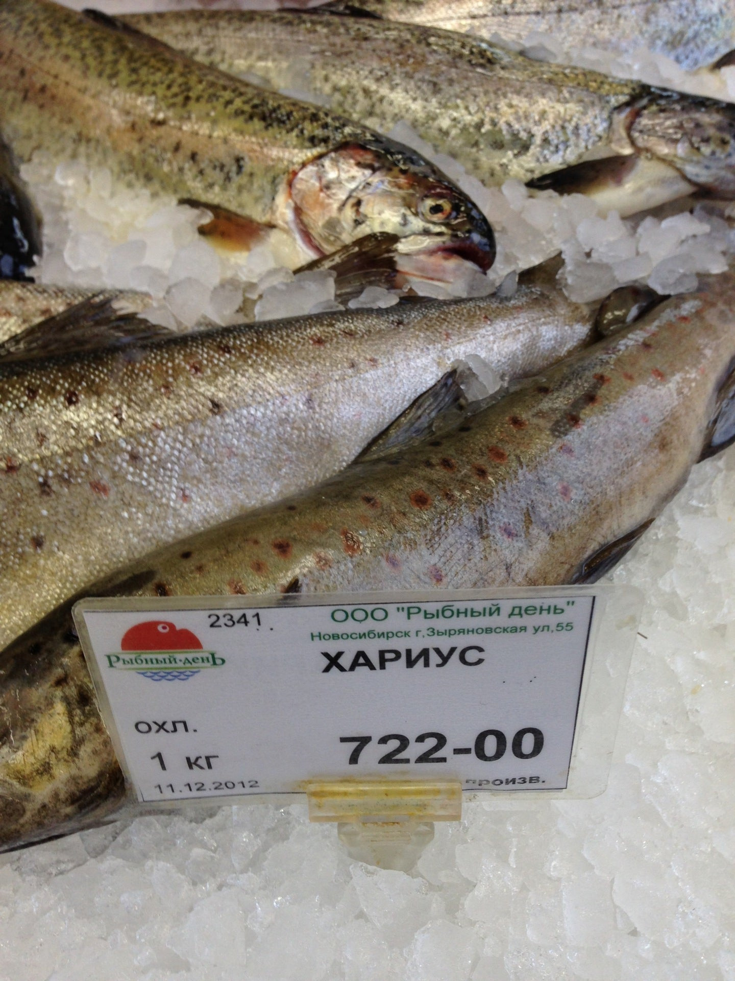 Магазины рыбы и морепродуктов в Новосибирске рядом со мной – Купить  морепродукты: 521 магазин на карте города, 17 отзывов, фото – Zoon.ru