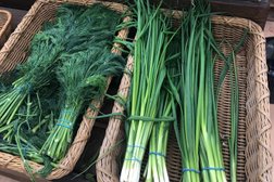 Магазин Ашан, с рейтингом 2.3 - находится по адресу Владимир, Тракторная улица, 45а 