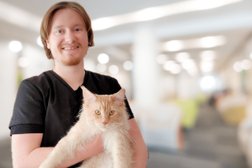 Выездная ветеринарная служба Vet Get, с рейтингом 4.3 - находится по адресу Ульяновск 