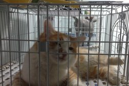 Ветеринарная клиника Ветмир, с рейтингом 3.6 - находится по адресу Москва, улица Генерала Белова, 5 