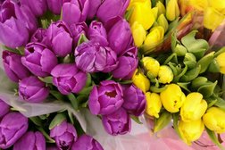 Гипермаркет Гипер Лента, с рейтингом 3.5 - находится по адресу Краснодар, Восточный обход, 19 