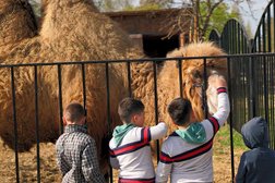 Эко-ферма Еникеево, с рейтингом 3.5 - находится по адресу Тверская область, Торжокский район, Высоковское поселение, деревня Барсуки 
