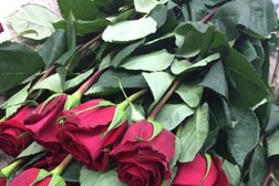 Салон цветов Afrose, с рейтингом 5 - находится по адресу Владивосток, Народный проспект, 19 ст5 