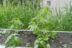 Супермаркет Вулкан, с рейтингом 5 - находится по адресу Иркутск, улица 30-й Иркутской Дивизии, 7 