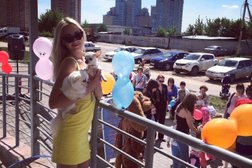 Салон Мокрый нос, с рейтингом 4.1 - находится по адресу Липецк, Замятина, 4 