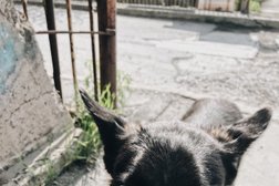 Автосервис Якудза, с рейтингом 2.5 - находится по адресу Владивосток, Посадская улица, 20а ст2 