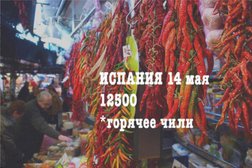 Турфирма Жара, с рейтингом 3.3 - находится по адресу Санкт-Петербург, Владимирский проспект, 15 