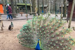 Киноконцертный комплекс Зеленогорский центральный парк культуры и отдыха, с рейтингом 4.4 - находится по адресу Санкт-Петербург, Приморское шоссе, 536 ст2 