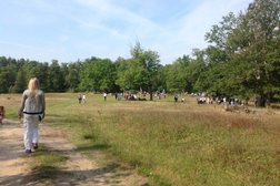 Детский оздоровительный лагерь Город спорта, с рейтингом 2.5 - находится по адресу Нижегородская область, Дзержинск, Желнинское шоссе, 4 