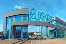 Магазин товаров для сна Askona, с рейтингом 3.1 - находится по адресу Санкт-Петербург, Дальневосточный проспект, 14 