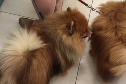 Аптека Диалог, с рейтингом 3.4 - находится по адресу Московская область, Балашиха, улица Некрасова, 5 