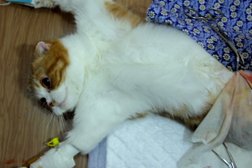 Ветеринарная клиника Ветлига, с рейтингом 3.3 - находится по адресу Воронеж, Минская улица, 5а к2 