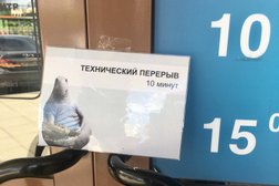 Клиффстор