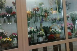 Коллекция цветов, с рейтингом 4.6 - находится по адресу Москва, Щербаковская улица, 55 