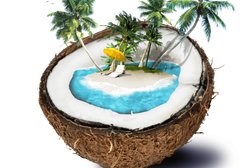 Туристическая компания Тревел Регатта, с рейтингом 4.9 - находится по адресу Москва, Новоданиловская набережная, 8к2 