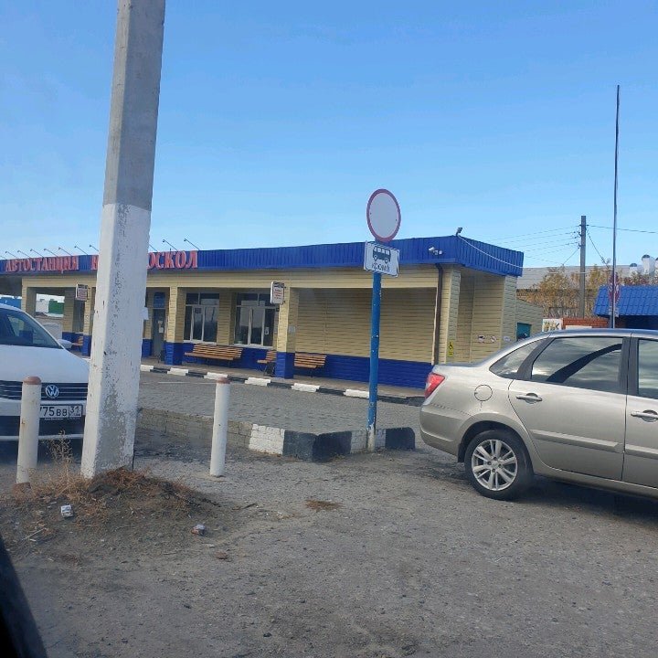 Революционная 1 тольятти. Тольятти улица революционная 24. Тольятти. Город цветов тольятти революционная. Автовокзал кабардинка.