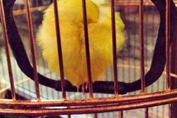 Кафе японской кухни Ямато, с рейтингом 3.9 - находится по адресу Курган, улица Володарского, 55 