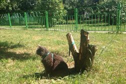 Зоосалон Puffy-Shop, с рейтингом 3 - находится по адресу Москва, Южнобутовская улица, 15 