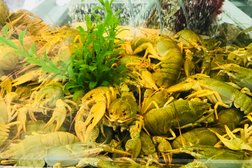 Экомаркет рынок настоящей еды, с рейтингом 3.8 - находится по адресу Москва, Профсоюзная улица, 126 к3 