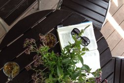 Ботанический сад им. И.И. Спрыгина, с рейтингом 1.5 - находится по адресу Пенза, улица Карла Маркса, 2а 