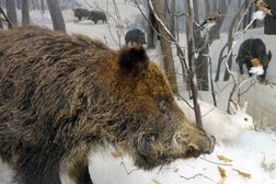 Краеведческий музей, с рейтингом 4 - находится по адресу Нижегородская область, Дзержинск, проспект Дзержинского, 8 