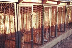 Кинологический центр Оружейный град, с рейтингом 4 - находится по адресу Удмуртская Республика, Ижевск, улица Кирова, 1Б 