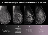 сертификат/документ Маммологического центра L7 в Советском районе