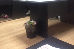 Студия звукозаписи LevelUp Music, с рейтингом 4 - находится по адресу Кострома, Костромская улица, 111 