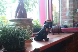 Паб Две будки, с рейтингом 4.6 - находится по адресу Рязань, улица Свободы, 52/2 